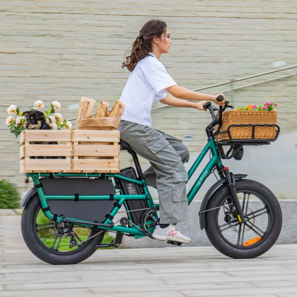 Fiido T2 Longtail Fatbike Cargo Elektrofahrrad – Bild 2