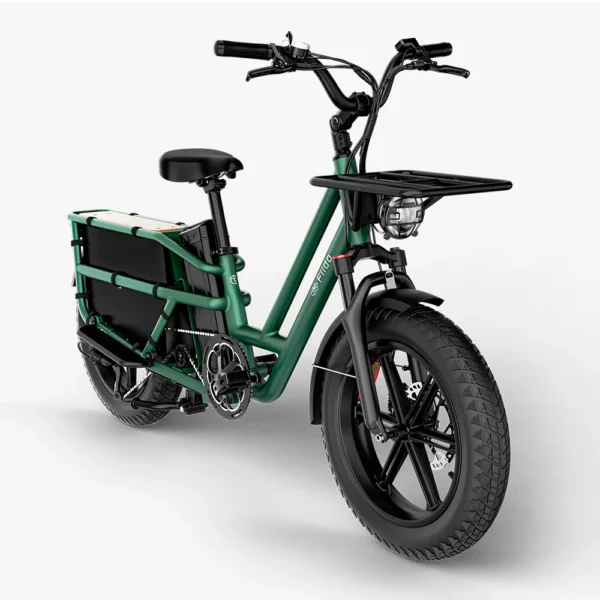 Fiido T2 Longtail Fatbike Cargo Elektrofahrrad – Bild 4
