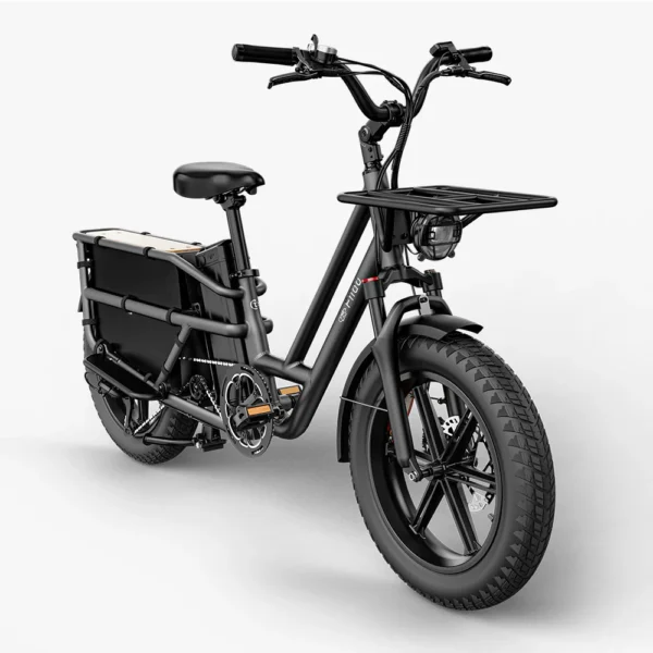 Fiido T2 Longtail Fatbike Cargo Elektrofahrrad – Bild 5