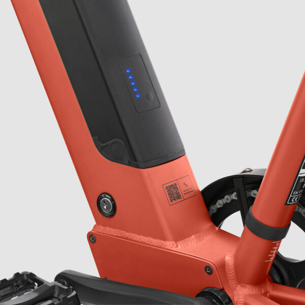 CARGO RAD DECATHLON R500E – Bild 8
